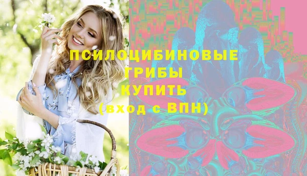 стафф Алексеевка